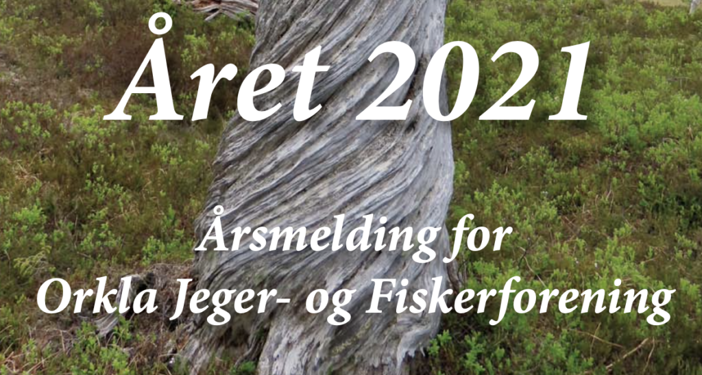 Årsmelding 2021