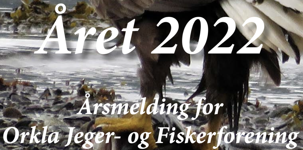 Årsmelding 2022