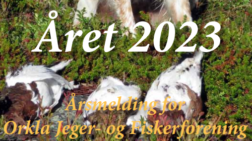 Årsmelding 2023