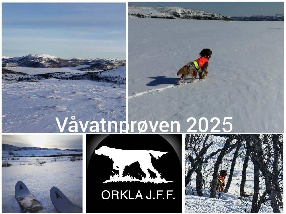 Våvatnprøven 2025 – CACIT